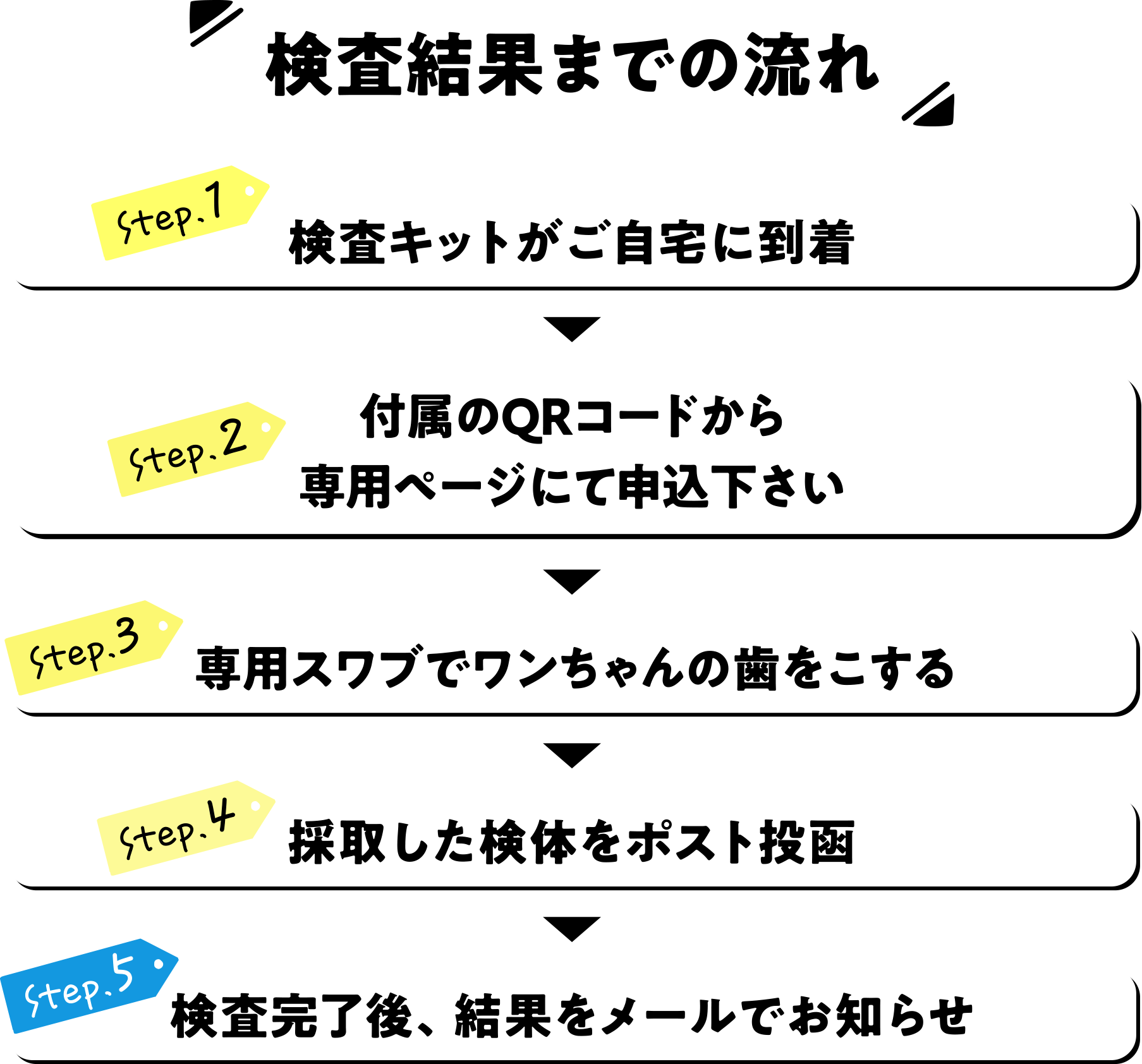 【検査結果までの流れ】Step.1 検査キットがご自宅に到着 / Step.2 付属のQRコードから専用ページにて申込下さい / Step.3 用スワブでワンちゃんの歯をこする / Step.4 採取した検体をポスト投函 / Step.5 検査完了後、結果をメールでお知らせ