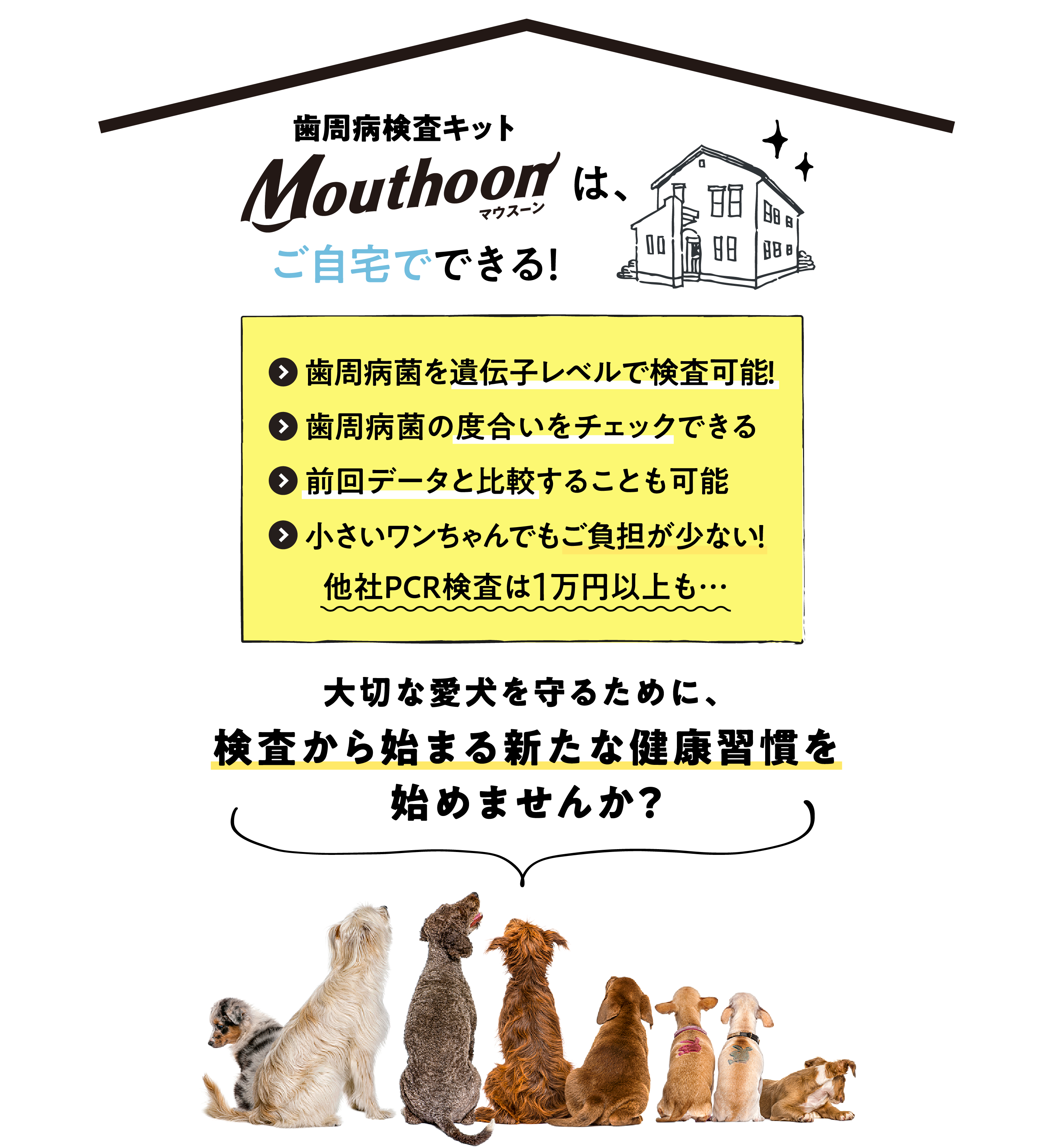 歯周病検査キットMouthoon（マウスーン）は、ご自宅でできる！　＞歯周病菌を遺伝子レベルで検査可能！＞歯周病菌の度合いをチェックできる＞前回データと比較することも可能＞小さいワンちゃんでもご負担が少ない！　他社PCR検査は1万円以上も…大切な愛犬を守るために、検査から始まる新たな健康習慣を始めませんか？